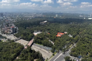 Sendero arbolado en un gran parque urbano, imagen ilustrativa para una guía de caminata por Chapultepec; no señala una sección concreta.