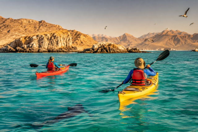 Kayakistas reman entre las islas del Parque Nacional Bahía de Loreto, Baja California Sur.