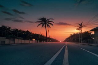Carretera costera del sureste mexicano al atardecer con palmeras y cielo húmedo, ilustración de seguridad, sin personas ni vehículos