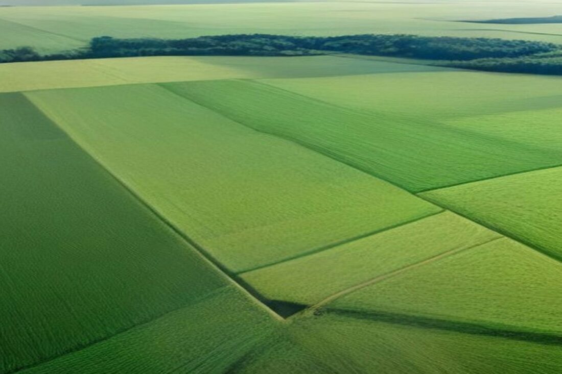 Vista aérea de campos de cultivo verdes divididos en parcelas por líneas rectas